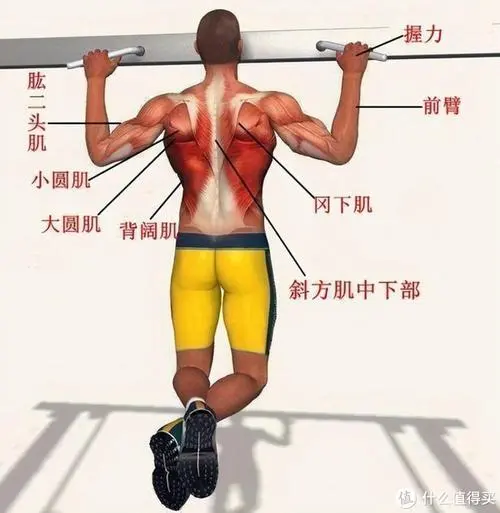 PP電子網(wǎng)站入口，家庭物聯(lián)網(wǎng)都是什么組成